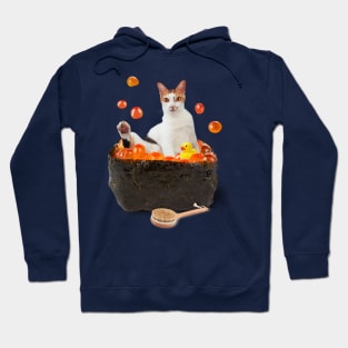 Cat Bathing in Luxurious Salmon Caviar | Sushi Cat Hoodie